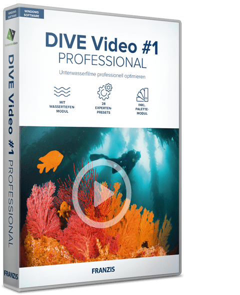 DIVE Video #1 professional