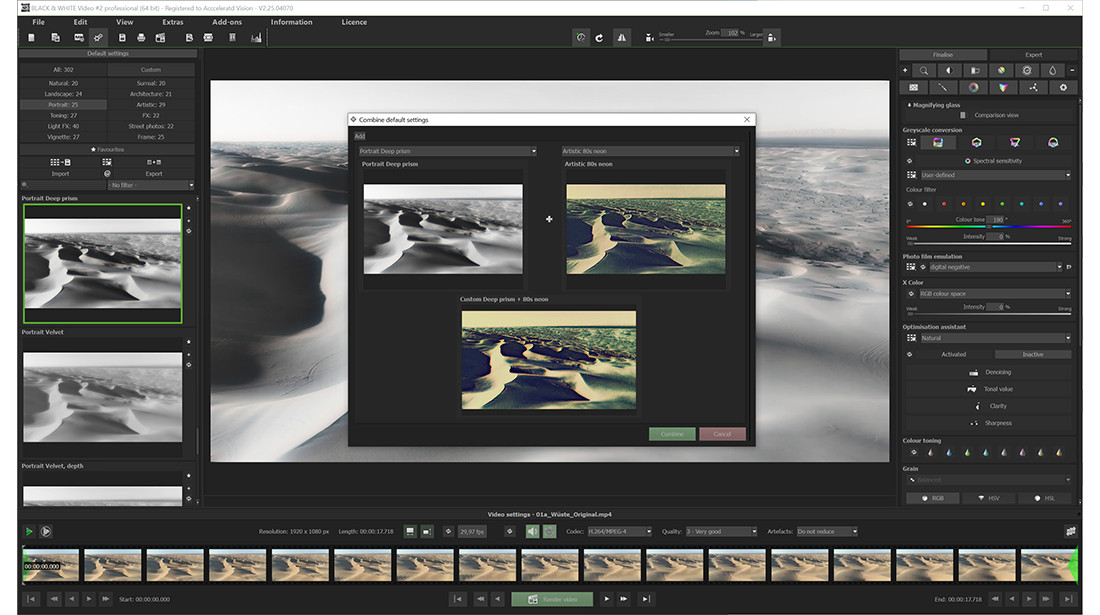 BLACK & WHITE Video 2 professional