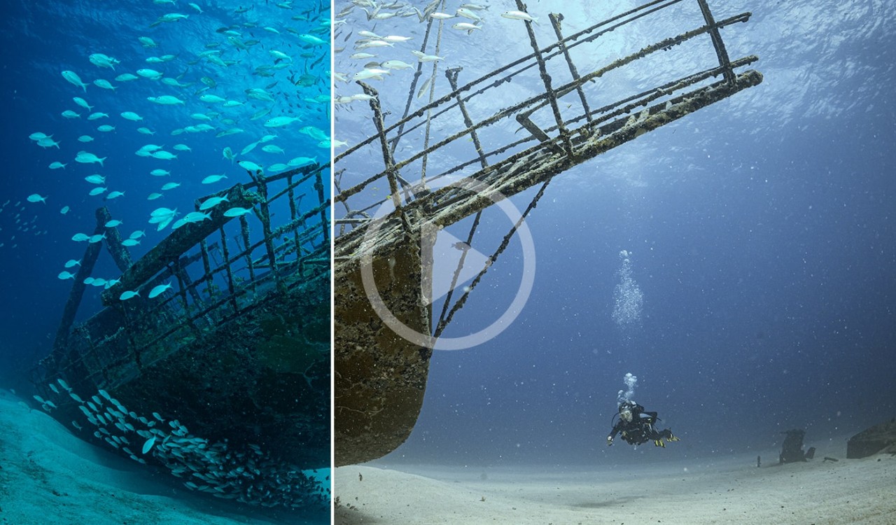 DIVE Video #1 professional