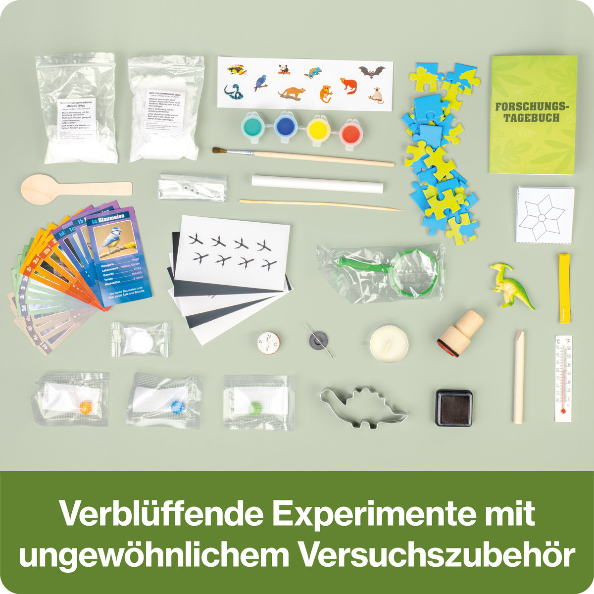 CheXperiment Adventskalender Forsche und entdecke mit Checker Tobi