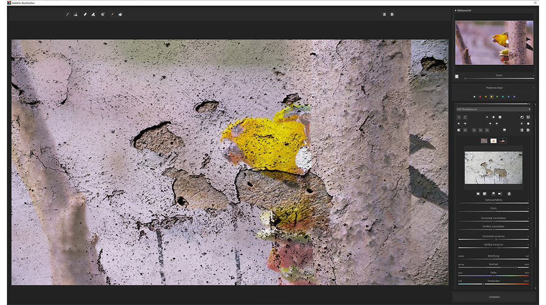 COLOR Video 2 professional