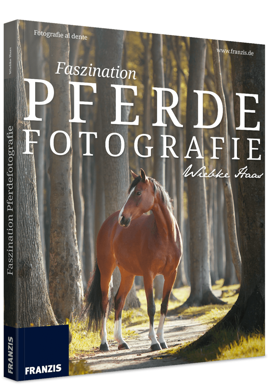 Faszination Pferdefotografie